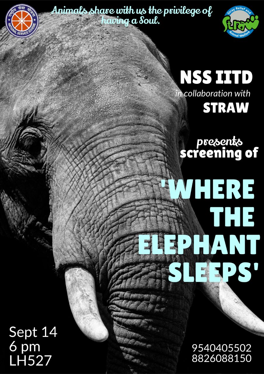 screening of film where the elephant sleeps
