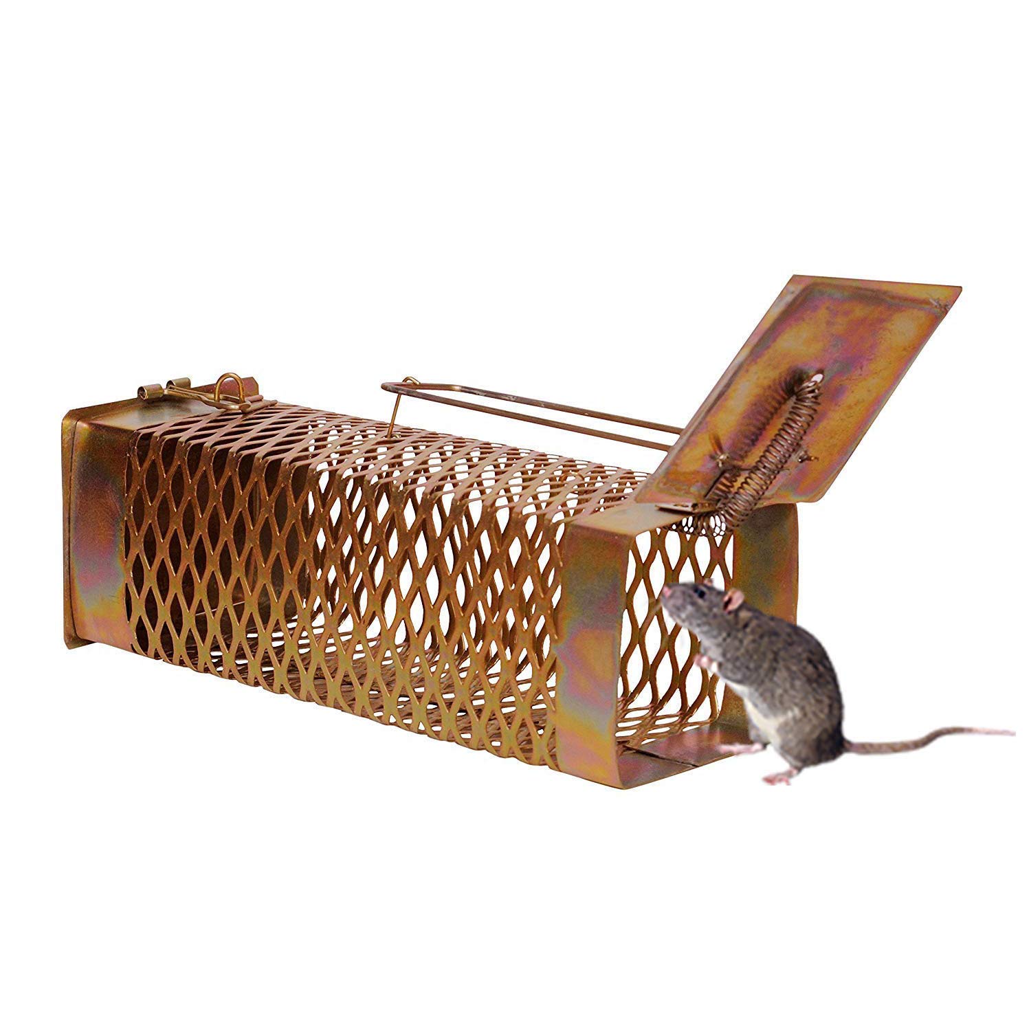 The Benefits Of Using Live Rat Traps