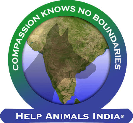 Help Animals India Logo